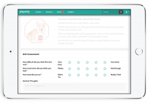 self assessment screenshot