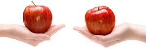 apples to apples banner