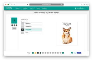 Piqosity Adaptive Practice Gamification ISEE