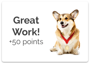 Gamified Practice Corgi Points