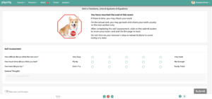 submit page for a mini diagnostic