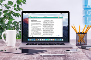 letters to grange in the ELA 7 mini diagnostic on a mac